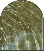 Inviduals_Track individual-service